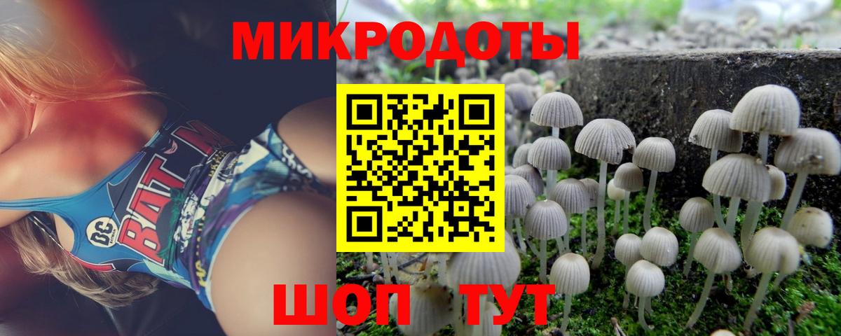 Галлюциногенные грибы мицелий  Вход с VPN  Клин 