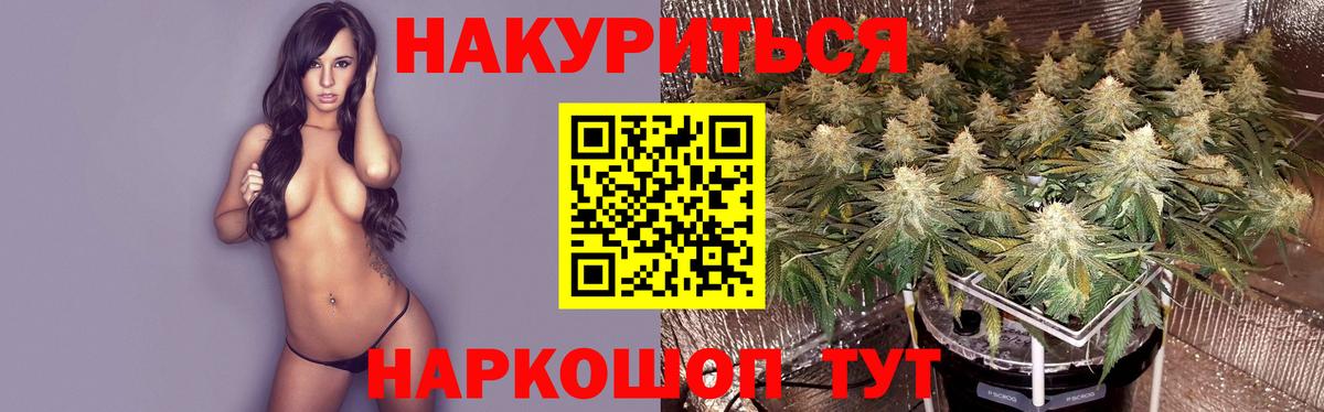 Шишки марихуана индика  Бошки Шишки планчик  Канабис конопля  Вход с VPN  Марихуана SATIVA & INDICA  Клин 